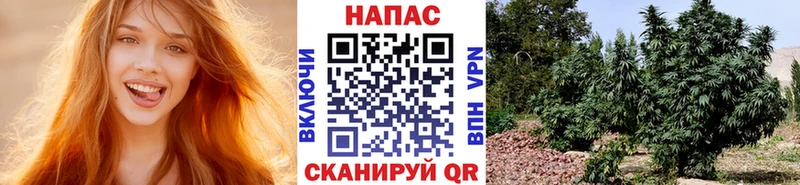 Где продают наркотики Кандалакша Псилоцибиновые грибы Меф Канабис Кокаин
